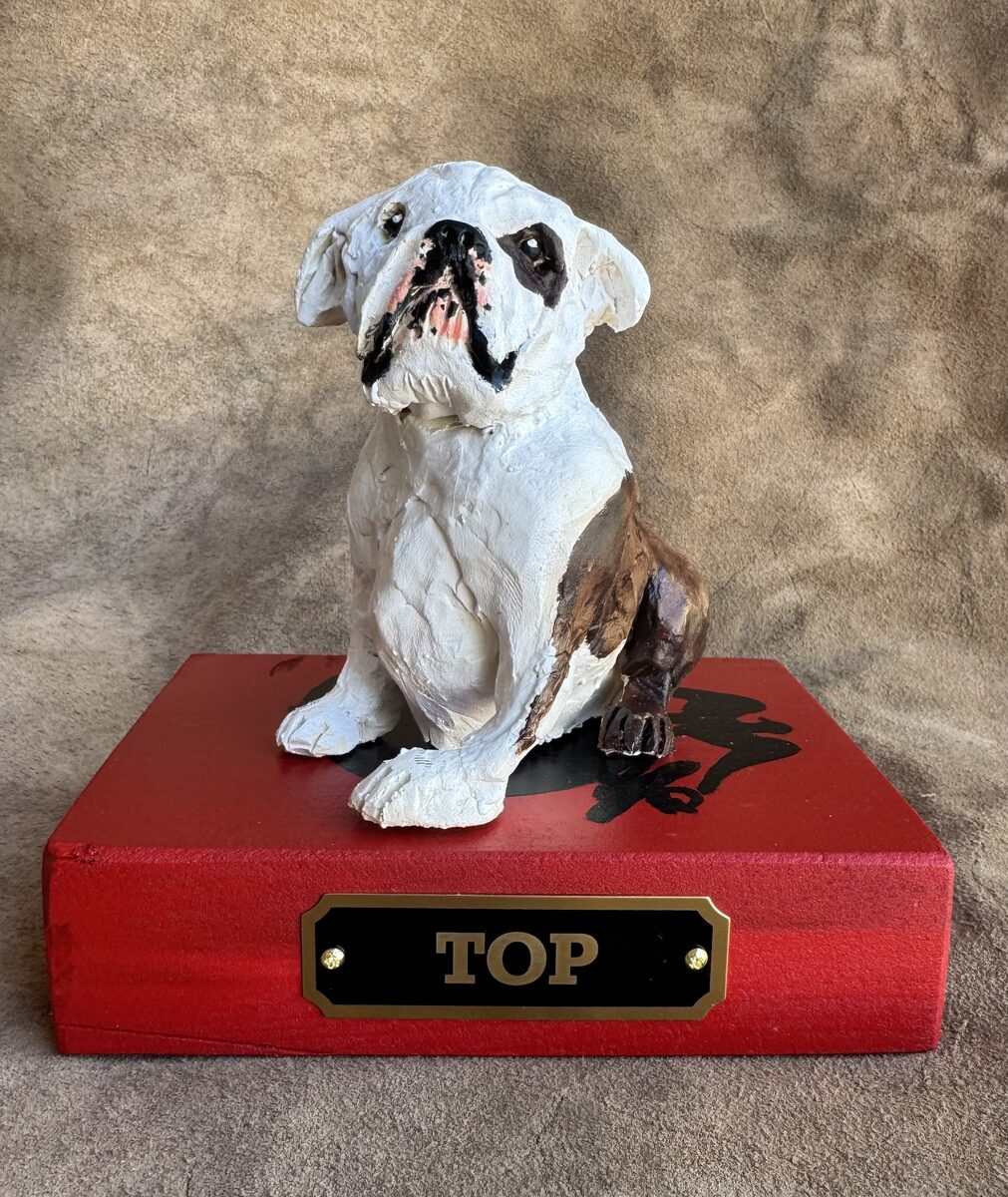 Top Doesn't Need to Say a Word
